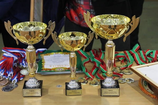 Ульяновские спортсмены привезли три золотые медали из Татарстана