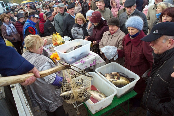 Новоульяновцы полакомятся рыбой