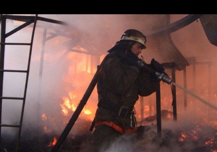 В Сурском районе сгорели надворные постройки