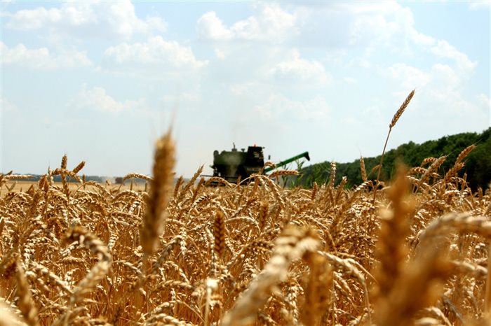 В Ульяновской области убрано более половины площадей зерновых культур