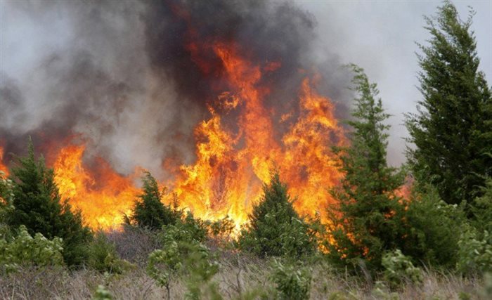 МЧС предупреждает: по области ожидается высокая пожарная опасность