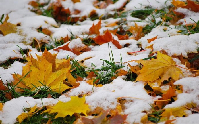 В воскресенье в Ульяновске ожидается первый снег