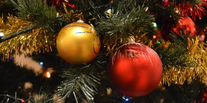 Ульяновцев хотят лишить новогодних каникул