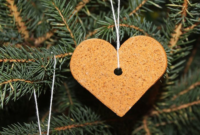 Как уберечь сердце в новогодние каникулы. Советы кардиолога