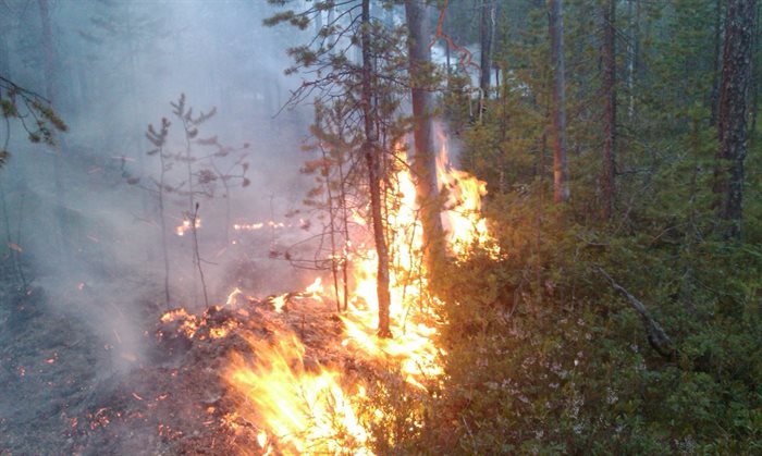 Третий класс пожарной опасности установлен в лесах Ульяновской области