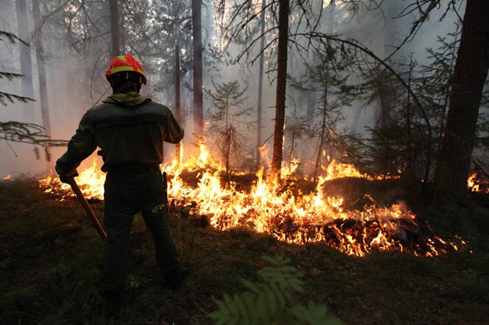 В Ульяновской области сохраняется высокая пожарная опасность