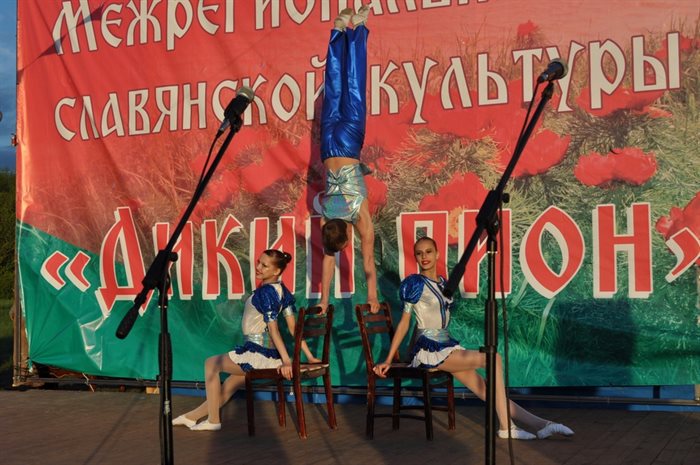 Межрегиональный фестиваль славянской культуры «Дикий пион» в регионе