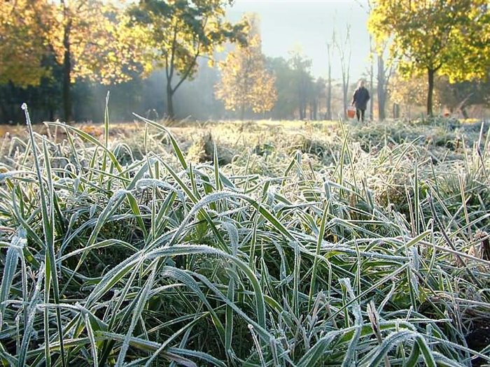 Сегодня в Ульяновской области похолодает до -2 градусов
