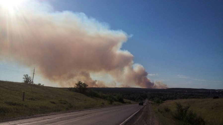 Лесные пожары в Новоспасском районе под контролем МЧС