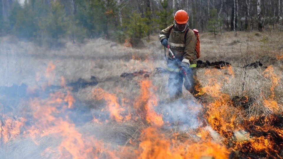 В Ульяновской области сохраняется опасность лесных пожаров