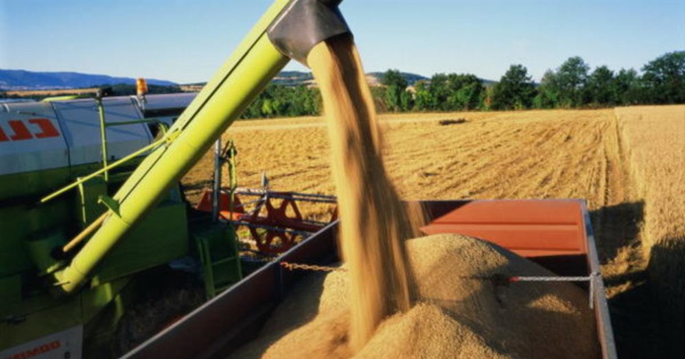 Свыше полумиллиона тонн зерна намолотили аграрии Ульяновской области
