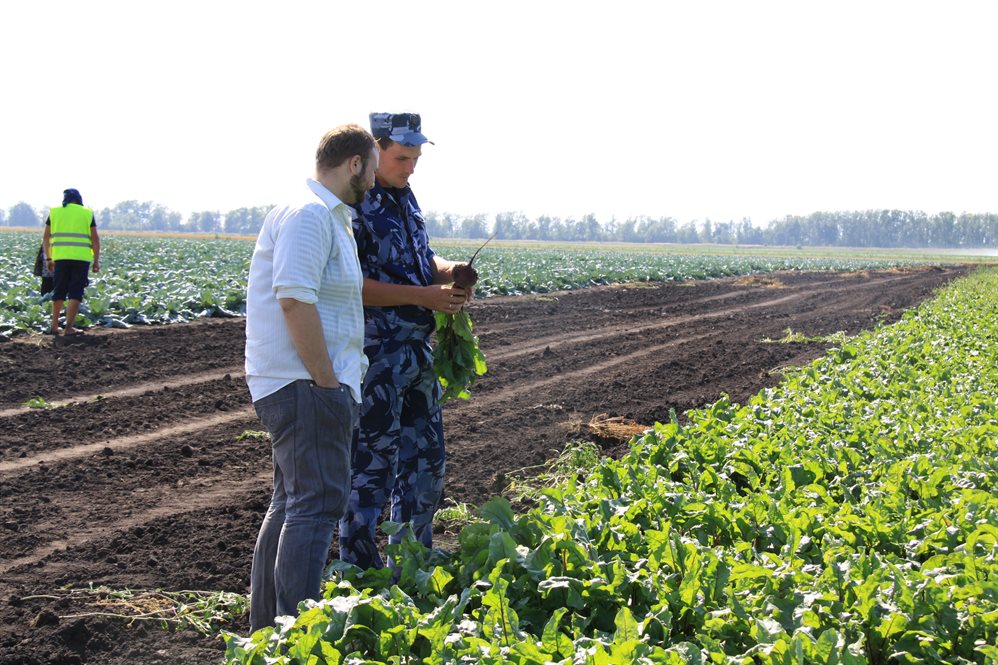 Ульяновские фермеры - с характером
