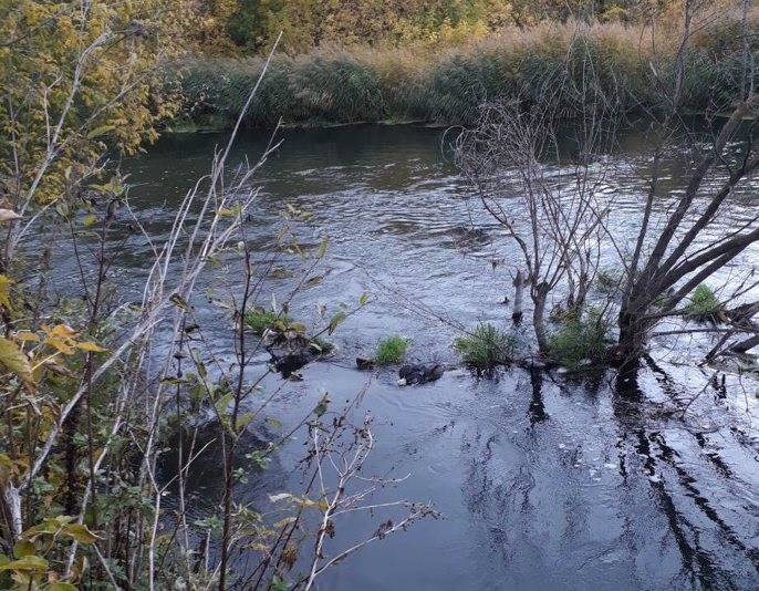 В Ульяновском районе в Свияге утонул 35-летний мужчина