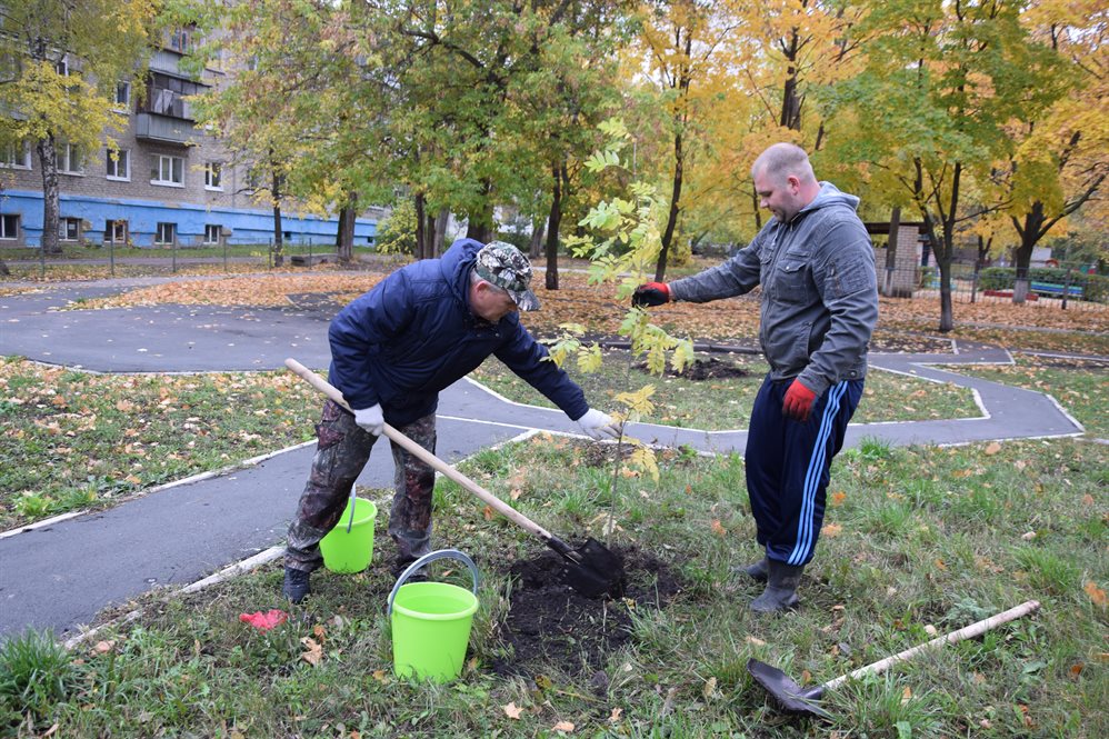 Тысячу деревьев посадили в Ульяновске