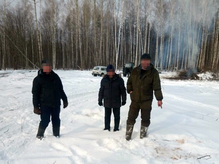 В Инзенском районе бизнесмен с разрешения лесничего нарубил деревьев на 350 тысяч рублей