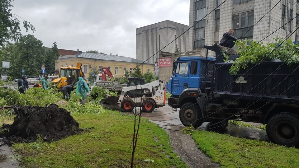 В Ульяновске вырубят 1645 аварийных деревьев