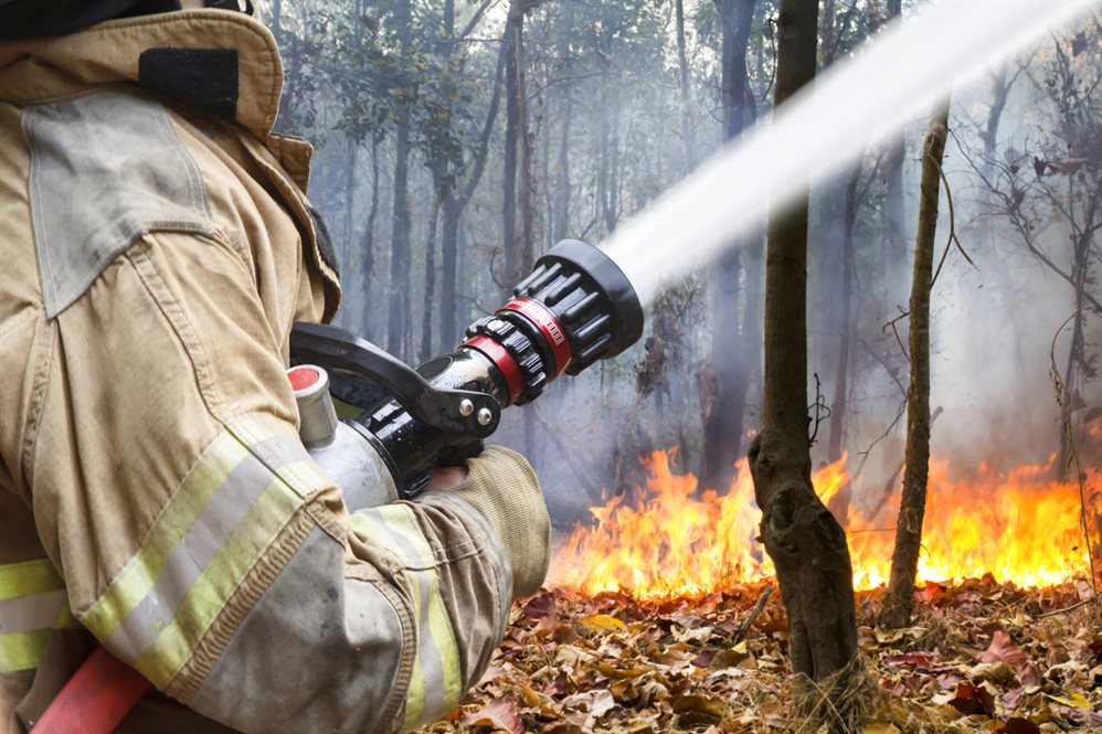 Пожароопасный сезон объявлен в лесах Ульяновской области