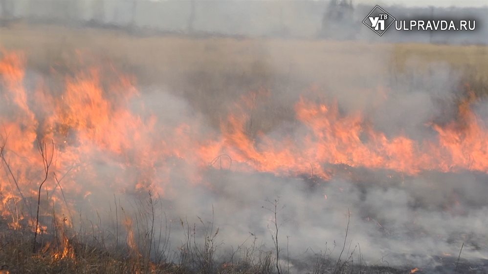 Ульяновцы поджигают траву. В регионе введен особый противопожарный режим