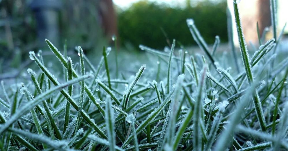 Завтра в Ульяновской области ожидается мороз