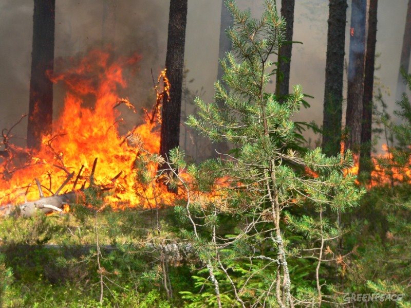 В Ульяновской области прогнозируется высокая пожарная опасность