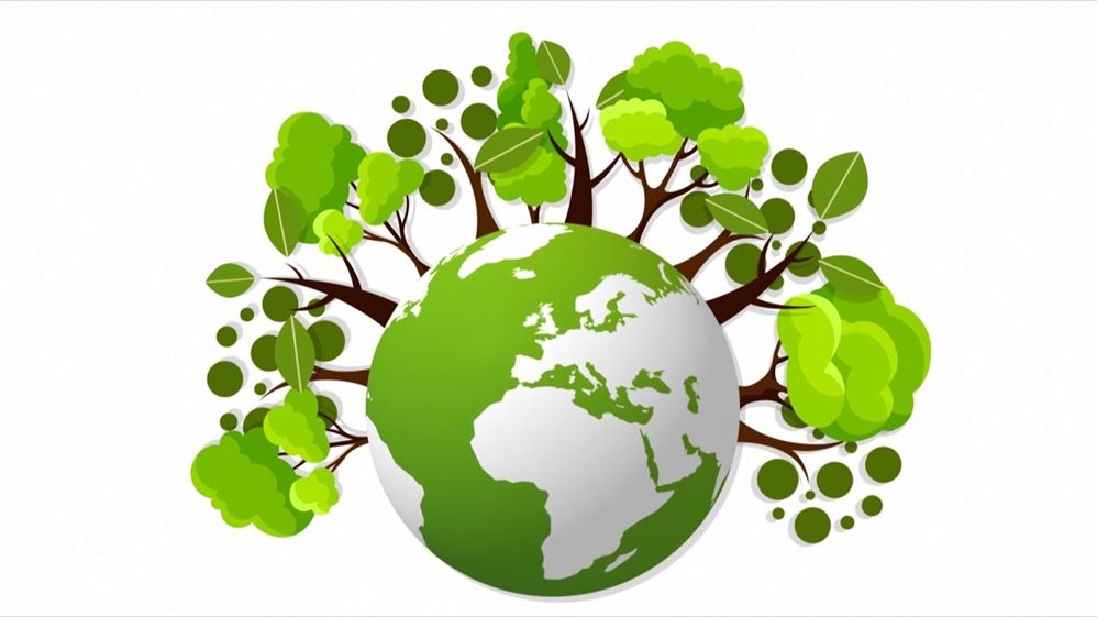 Неделя национального проекта «Экология» стартует в регионе 24 июня