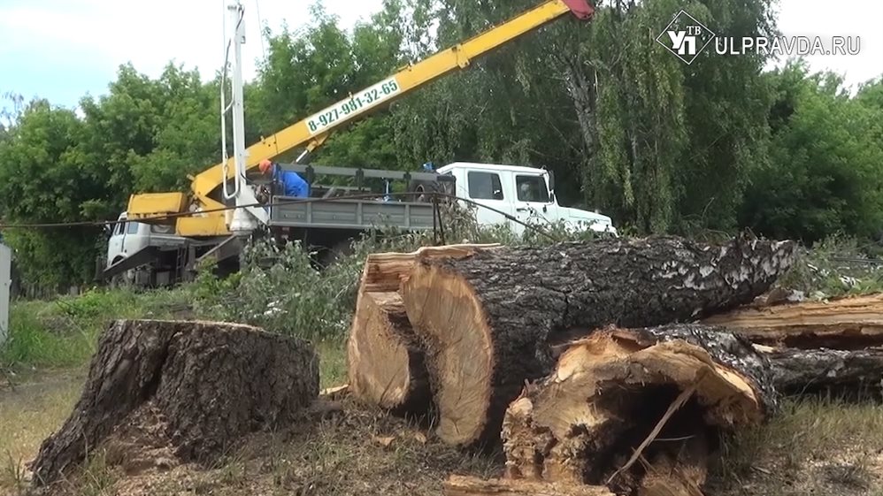 Автовладельцам помочь, деревья распилить. В Ульяновской области ликвидируют последствия ЧС