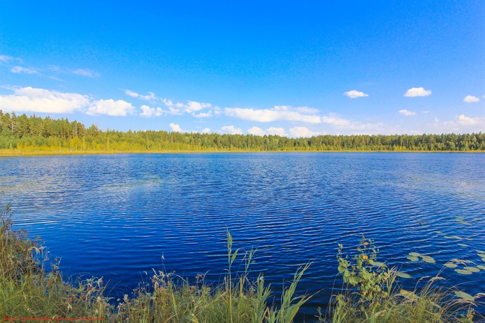 Белое Озеро Пензенская Область Фото