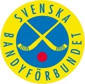 Шведы, приехавшие на ЧМ по бенди в Ульяновск, получат свитер