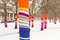 Ульяновцы украсят деревья яркими гетрами в стиле «ярнбомбинг»
