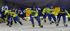 Хоккеисты из Ульяновска сыграют на Красной площади в Москве
