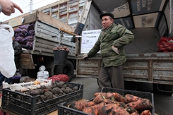В один день пройдёт Фестиваль картофеля - в р.п. Ишеевка и Фестиваль яблок – в Новоульяновске