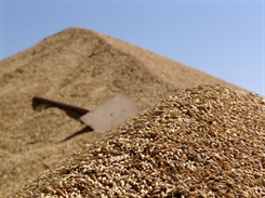 Фермер расплатился за участие в бизнес-форуме в Ульяновске тонной зерна