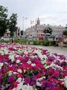 В 2016 году в Ульяновске зацветёт миллион цветов