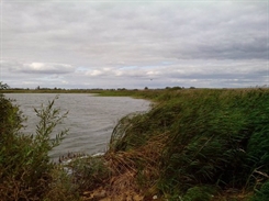 Отдыхай в Ульяновской области: «жемчужина» Чердаклинского района – озеро Песчаное