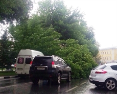 Упавшее на улице Гончарова дерево зацепило маршрутку и перегородило дорогу (фото)