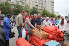 Ульяновцев приглашают на «Фестиваль капусты»