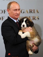 Владимир Путин поддерживает защитников животных, выступающих против живодеров