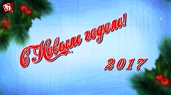 Новогоднее поздравление депутат ЗСО А. Букина (видео)