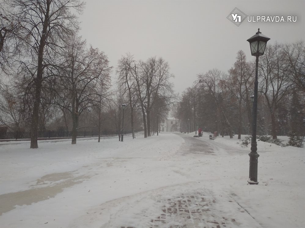 Без снега, но с морозом. Аномальные холода зависли в Ульяновской области