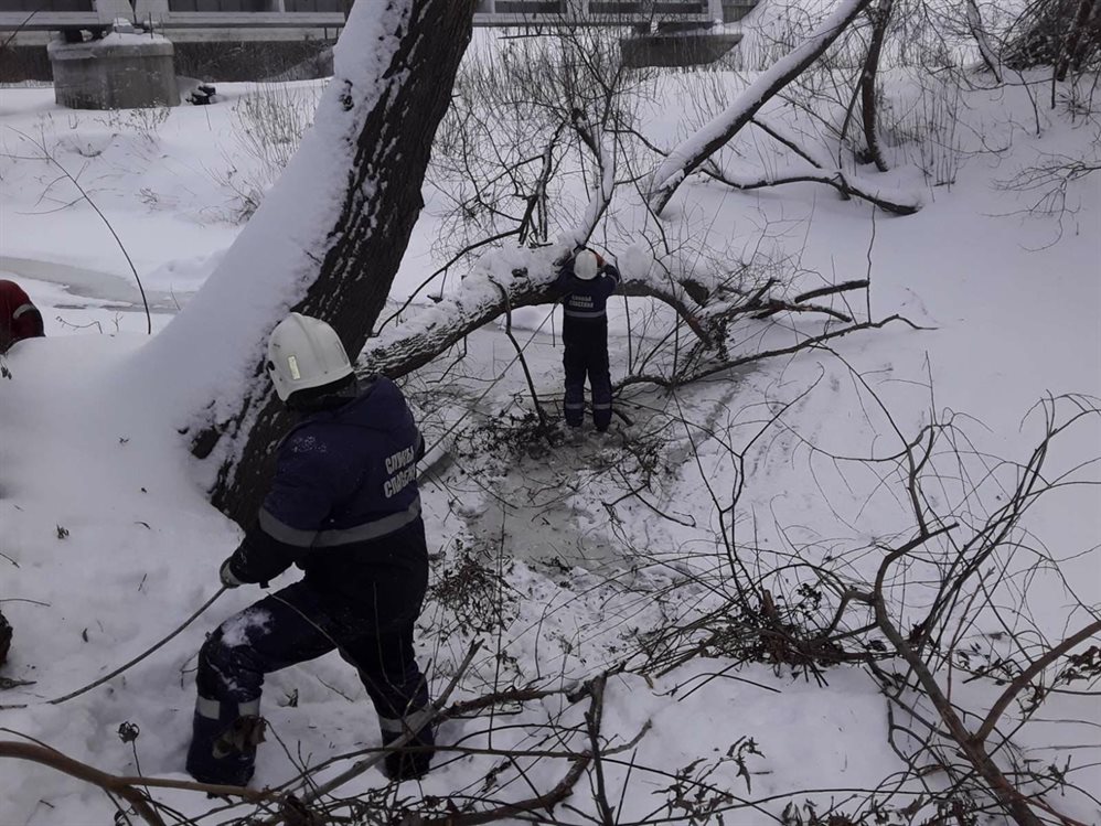 Реку Сельдь в Ульяновске освобождают от поваленных деревьев