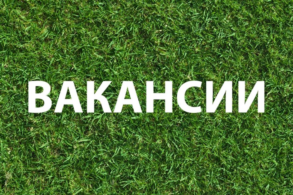 Картинка вакансия работа