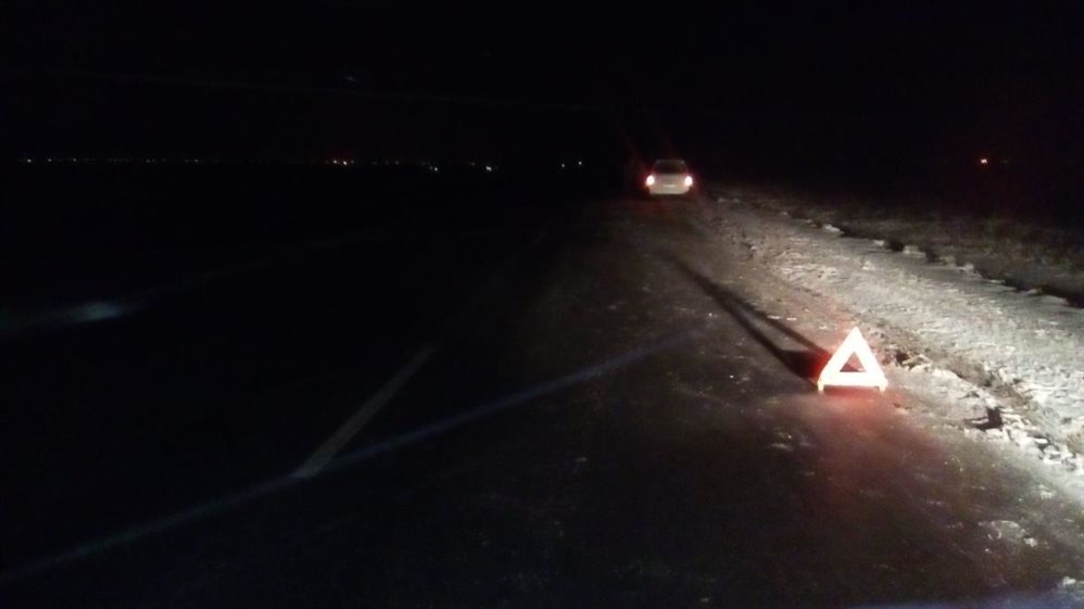 В Николаевском районе «Приора» врезалась в дорожный знак. Пострадал человек