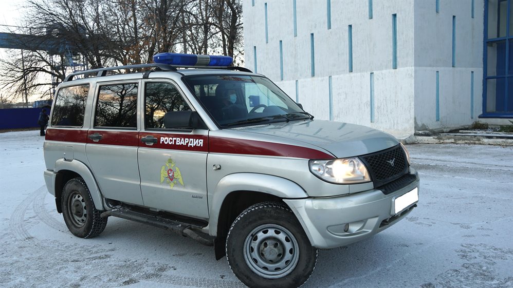 В Ульяновске женщина похитила из гипермаркета грузовую тележку