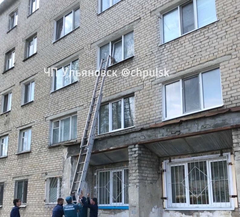 На севере Ульяновска спасатели вытащили кота, застрявшего в полуоткрытом окне