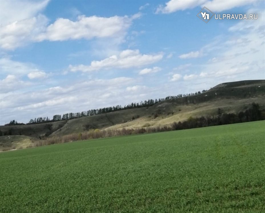 В Ульяновской области тепло и «зелено». Прогноз погоды на 8 мая
