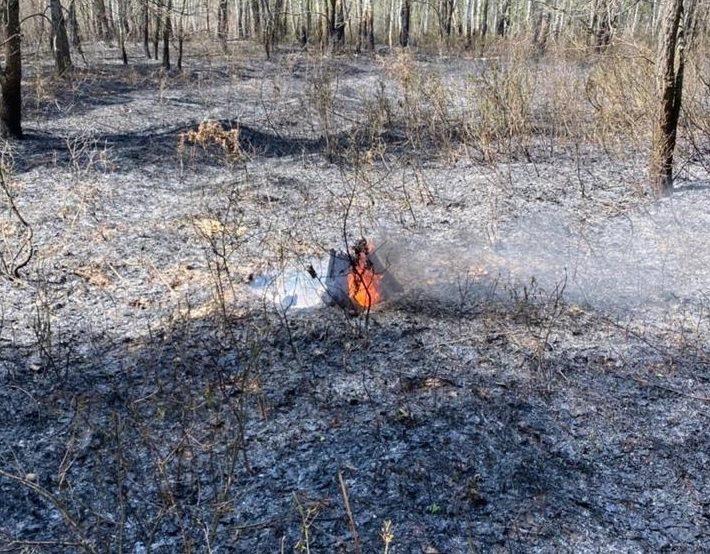 За время майских праздников в лесах региона ликвидировали 5 пожаров