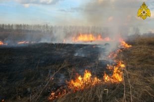 Ульяновские спасатели за сутки выезжали на тушение сухой травы 12 раз