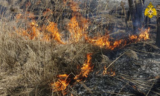 За сутки ульяновские пожарные выезжали на тушение сухой травы 9 раз