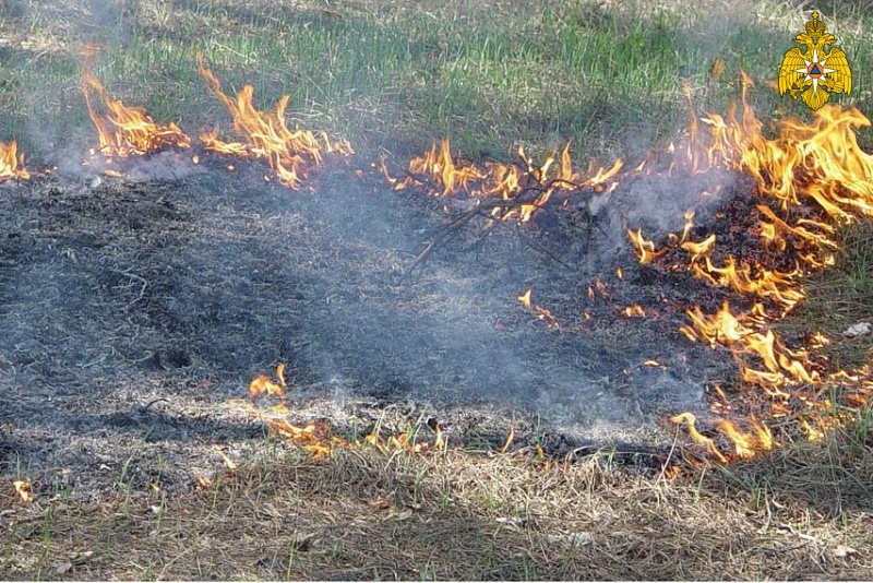Ульяновские пожарные за сутки два раза выезжали на тушение сухой травы