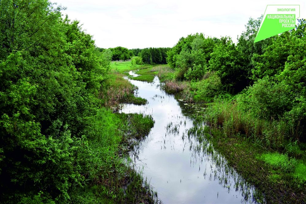 В Чердаклинском районе готовят экологическую реабилитацию для реки Урень